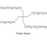 4 Arm PEG-NH2