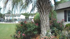 Spanish mission apartments has a walk score of 52 out of 100. Spanish Mission Apartment Homes Home Facebook
