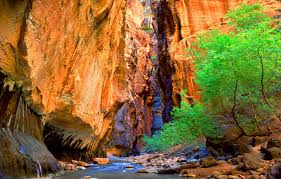 Discover hotels, restaurants, hiking, biking, activities, weather, shopping and much more. Zion National Park Day Tour Kanab Tour Company