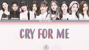 I didn't made fun of twice's voice, i captioned it as. Twice Team Turkey Home Facebook