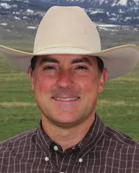 ATTENTION ON NOVEL TRAITS: