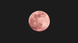 Trouvez des images de stock de super lune rose le 7 avril en hd et des millions d'autres photos, illustrations et images vectorielles de stock libres de droits dans la collection shutterstock. N2upfxwrj9slam