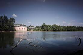 Image result for svatebn  v zdoba