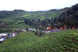 Warga yang memilih berlibur di kawasan puncak bogor bakal berhadapan dengan rapid test, ada 1000 yang disiapkan di tiga lokasi wisata kawasan puncak. Agrowisata Gunung Mas Kebun Teh Walini Puncak 2021 All You Need To Know Before You Go With Photos Tripadvisor