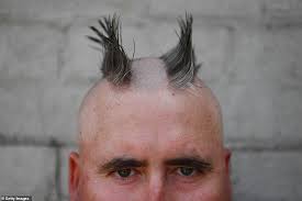 Modern short & long mullet haircuts (2020). British Graphic Designer Wins Prize For World S Best Mullet After Adopting Hairstyle In Australia Daily Mail Online