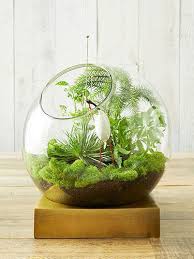 Add just enough water to cover the bottom of the dish, allowing water to settle the dust and cool the drill bit as it heats up. Fashion Tabletop Glass Fish Tank Air Plant Garden Terrarium Indoor Plant Succulent Terrarium For Home Decor Garden Decor Plant Plant Paperplant Umbrella Aliexpress