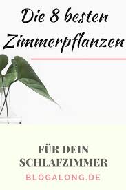 Die 8 Besten Zimmerpflanzen Fur Dein Schlafzimmer Schlafzimmer Pflanzen Zimmerpflanzen Pflanzen