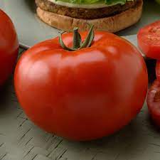 Big beef tomatoes are large, red hybrids that produce tasty tomatoes and have very large production. Big Beef Tomato Plants For Sale Free Shipping