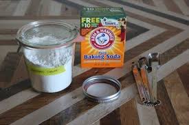 Non Toxic Pest Control That Actually Works Trucs Et Astuces Jardinage Et Nettoyage