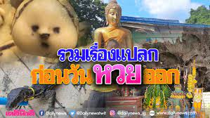 ตามได้แล้ว งวดก่อนให้ 69+261 ตรงเป๊ะๆ งวดวันที่ 16 สิงหาคม 2564; Ml9ffi6g4ykjqm