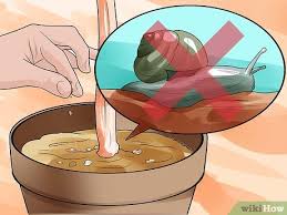 Your coffee grounds may be brown in color, but in compost jargon they are green material, meaning an item that is rich in nitrogen. How To Use Coffee Grounds In Your Garden 9 Steps With Pictures