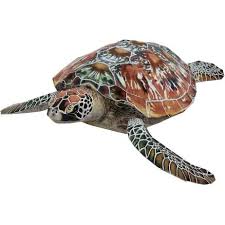 Pin On Turtle Crafts