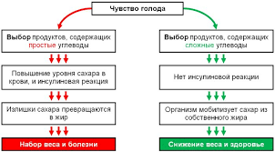норма уровня сахара в крови до и после еды Kak Perestat Est Sladosti Poshagovaya Instrukciya Ot A Do Ya Pohudenie Slozhnye Uglevody Zdorove