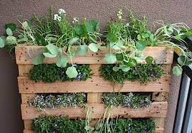 Maybe you would like to learn more about one of these? D I Y Shipping Pallet Vertical Garden Improvised Life