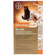 Ordering prescription heartworm prevention for cats is a simple process. Cheap Advantage Multi For Cats Buy Advantage Multi Flea And Heartworm For Cats