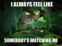 I Always Feel Like Somebody S Watching Me Memes