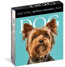 Dog Page A Day Gallery Calendar 2020 By Workman Publishing Https Www Amazon Ca Dp 1523507047 Ref Cm Sw R Pi Dp U X Nqsv Calendar Calendar 2020 Download Books
