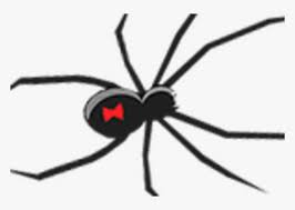 Infinity war, ironman, celebrities, heroes, superhero png Black Widow Spider Ornament Png Download Black Widow Clip Art Transparent Png Transparent Png Image Pngitem