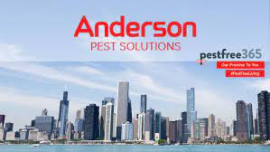 We have seen far too many people who feel stuck and dissatisfied with their current pest control company. Anderson Pest Solutions 8057 Cleveland Pl Merrillville In 46410 Yp Com