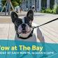 Bow Wow at The Bay