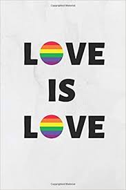 Love is love in wien! Love Is Love Statement Notizbuch Fur Die Lgbtq Community Gleichgeschlechtliche Liebe Gay Pride 120 Seiten Dot Grid Bullet Diary Equality Love Handwerk Coming 9781795322430 Amazon Com Books