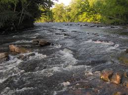 Shoal is defined as to come together in a group, or to become shallow, or to sail into a shallow part of the water. Sycamore Shoals Wikipedia