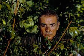 Sean connery is synonymous with james bond, but he has played a diverse range of characters sean connery's highest grossing movies have received a lot of accolades over the years, earning. James Bond Sag Niemals Nie Wie Sean Connery Sich Das James Bond Universum Zuruckeroberte Gq Germany