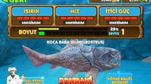 Bolum 1 Yeni Skor Kopek Baligi Oyunu Youtube