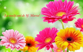 Fie ca toate întâmplările frumoase şi spiritul acestei zile să te însoţească pretutindeni. Ziua De Cluj Sf Maria MicÄƒ Cele Mai Frumoase Mesaje Si FelicitÄƒri