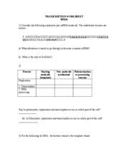 By105 transcription and translation worksheet. Virtual Replication Transcription And Translation Lab Answer Key Dna Replication And Transcription Worksheet Answers