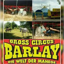 Klicken sie hier um mehr informationen zu dieser webseite zu erhalten. Circus Barlay Uberschaumende Lebensfreude Hier In