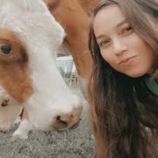 HEBE Washable Area Rug 6'x9' Large Living Room Rug Boho Rugs for Bedroom  Non Slip Dining Room Mat Soft Accent Throw Rug Indoor Floor Carpet for  Nursery Kids Room Entryway Office :