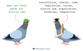 As a noun law is. 36 Written Law Synonyms Similar Words For Written Law