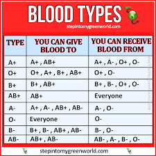 All You Need To Know About Blood Types Who You Can Give