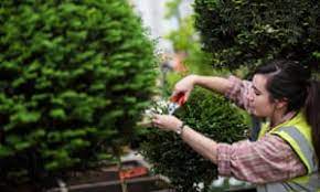 Let S Hear It For The Garden Volunteers Gardens The Guardian