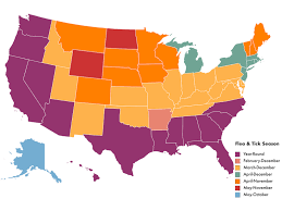 Map What S Your State S Flea And Tick Season American Kennel Club