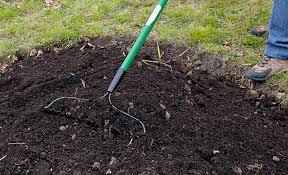 Check spelling or type a new query. How To Sow Seeds Outdoors Garden Gate