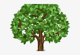 Christmas tree clipart transparent background free vector we have about (60,317 files) free vector in ai, eps, cdr, svg vector illustration graphic art. Tree Clipart Clipart Acorn Tree Tree Clipart Transparent Background Png Image Transparent Png Free Download On Seekpng