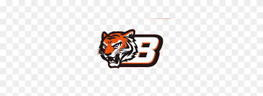 Currently over 10,000 on display for your viewing pleasure Cincinnati Bengals Concept Logo Sports Logo History Cincinnati Bengals Logo Png Stunning Free Transparent Png Clipart Images Free Download