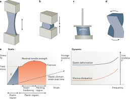 We write high quality term papers, sample essays, research papers, dissertations, thesis papers, assignments, book reviews, speeches, book reports, custom web content and business papers. The Stiffness Of Living Tissues And Its Implications For Tissue Engineering Nature Reviews Materials