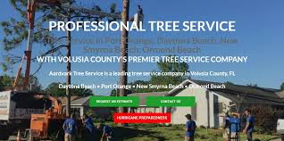 Tree Service In Port Orange Daytona Beach New Smyrna Beach Ormond Beach New Smyrna Beach Daytona Beach Ormond Beach