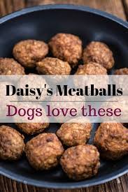 Easy To Make Homemade Dog Food Meatballs Recipe Dog Food Recipe Healthy Dog Food Recipes Dog Food Recipes Homemade Dog Food