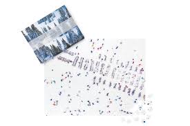 The hawaii beach double sided 500 piece puzzle features sunseekers basking on a sandy beach on one side and snorkelers exploring a stunning ocean reef on the other side. Puzzles Gray Malin