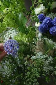 珠翠花與蕾絲花 flowers dandelion plants