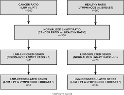 Chemotherapy, hormone therapy, and targeted therapy — medication prescribed to some women based on the type of breast cancer they have — also destroys cancer in lymph nodes. Reduced Expression Of Innate Immunity Related Genes In Lymph Node Metastases Of Luminal Breast Cancer Patients Scientific Reports
