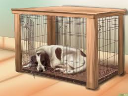 كيفية تشجيع كلبك على النوم 8 خطوات صور توضيحية Wikihow