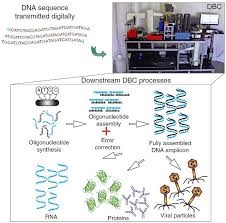 A biomolecule or biological molecule is a loosely used term for molecules present in organisms that are essential to one or more typically biological processes, such as cell division, morphogenesis, or development. A New Prototype Machine Can Make The Biological Molecules Of One S Choice From Digital Dna Sequences Dna Sequence Molecular Biology Molecules