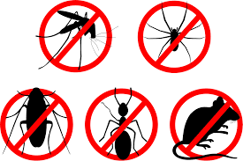 Lakdikapul railway station is located at india, state of telangana, greater hyderabad municipal corporation, hyderabad, khairatabad. Pest Control Services In Hyderabad Hyderabad Zone