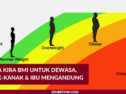 Bmi sesuai digunakan untuk menilai lelaki dan wanita dewasa berumur antara 18 hingga 64 tahun. Cara Kira Bmi Untuk Dewasa Kanak Kanak Ibu Mengandung Edu Bestari