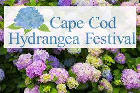 When cape cod residents first plant their landscapes, many choose evergreen trees and shrubs believing that having foliage all year round is of prime importance. 6th Annual Cape Cod Hydrangea Festival Highfield Hall And Gardens